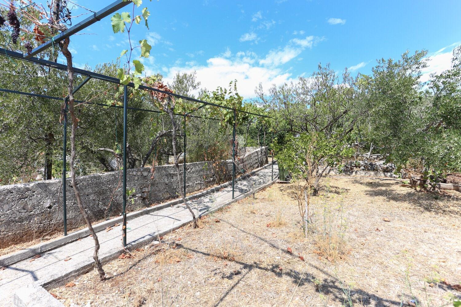 Holiday Home Marcelo-With Terrace Vinisce Exterior foto